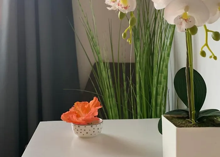 住宿加早餐酒店 Bedroom With Shared Bathroom And Swimming Pool *