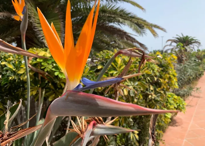 住宿加早餐酒店 Bedroom With Shared Bathroom And Swimming Pool 科拉雷侯