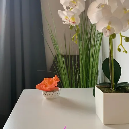 לינה וארוחת בוקר Bedroom With Shared Bathroom And Swimming Pool *