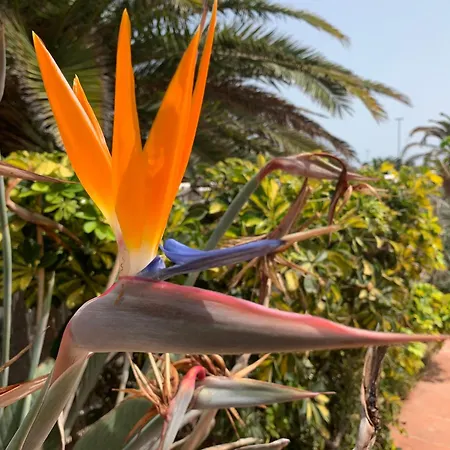 לינה וארוחת בוקר Bedroom With Shared Bathroom And Swimming Pool קורלחו